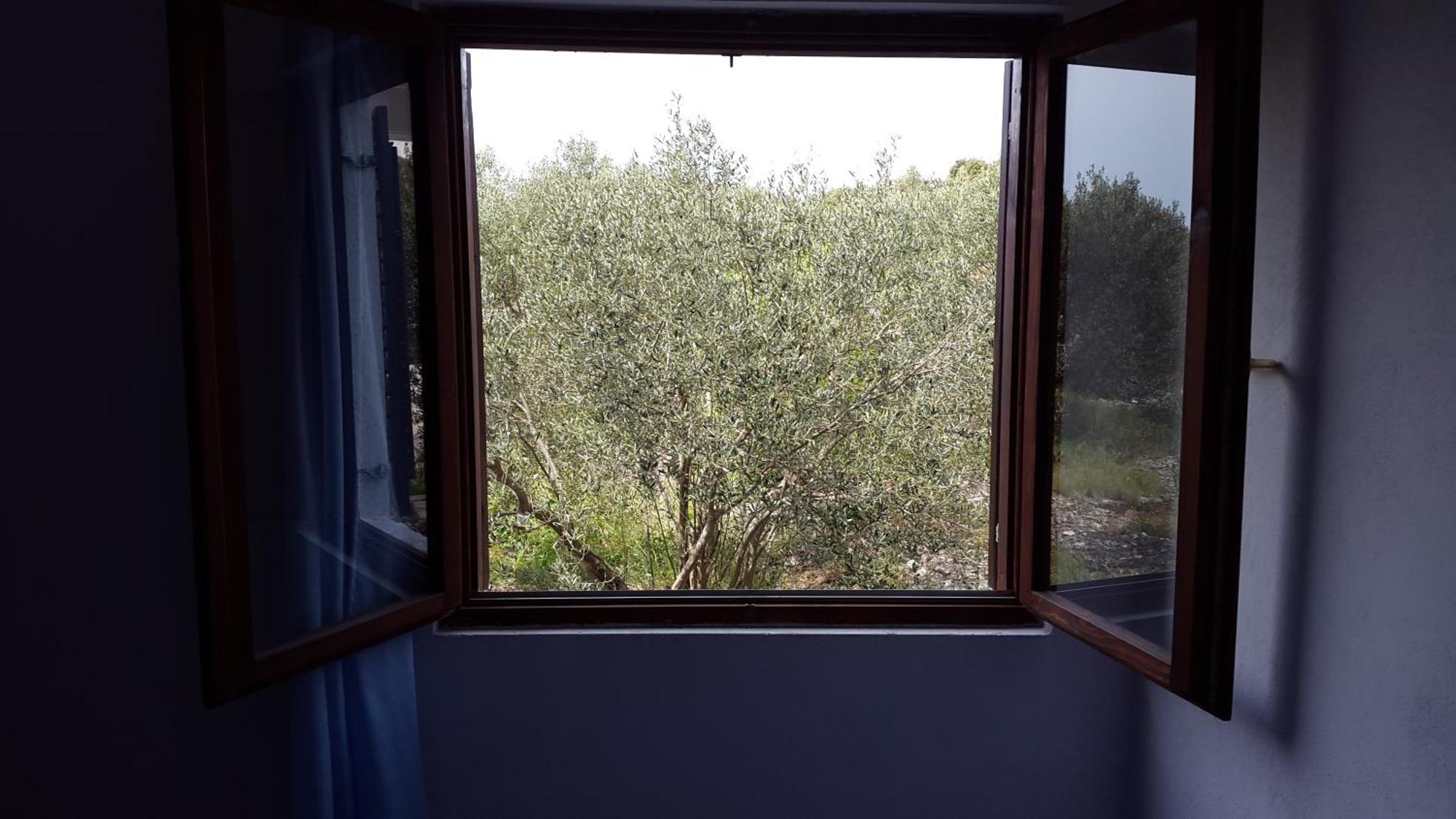 Apartments Vrvilo ロゴズニッツァ 部屋 写真