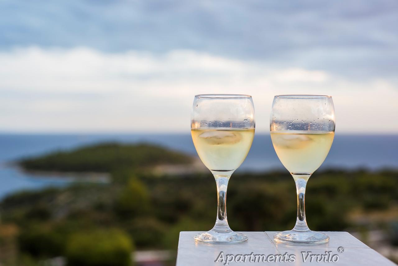 Apartments Vrvilo ロゴズニッツァ エクステリア 写真