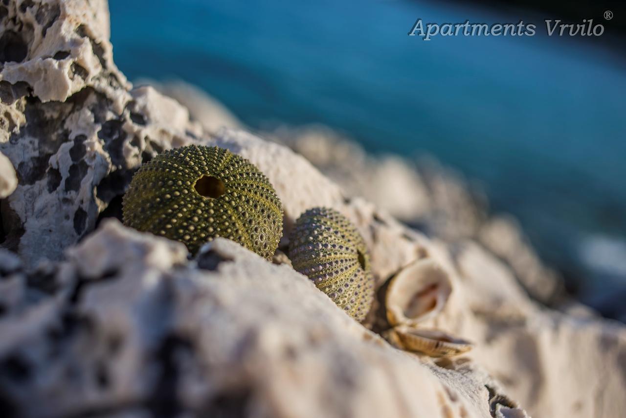 Apartments Vrvilo ロゴズニッツァ エクステリア 写真